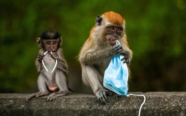 直面口罩垃圾，说说废弃口罩的危害